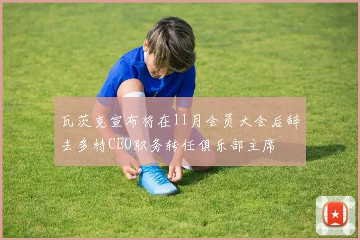 瓦茨克宣布将在11月会员大会后辞去多特CEO职务转任俱乐部主席