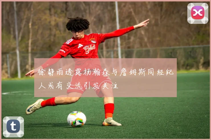 徐静雨透露杨瀚森与詹姆斯同经纪人或有交流引发关注